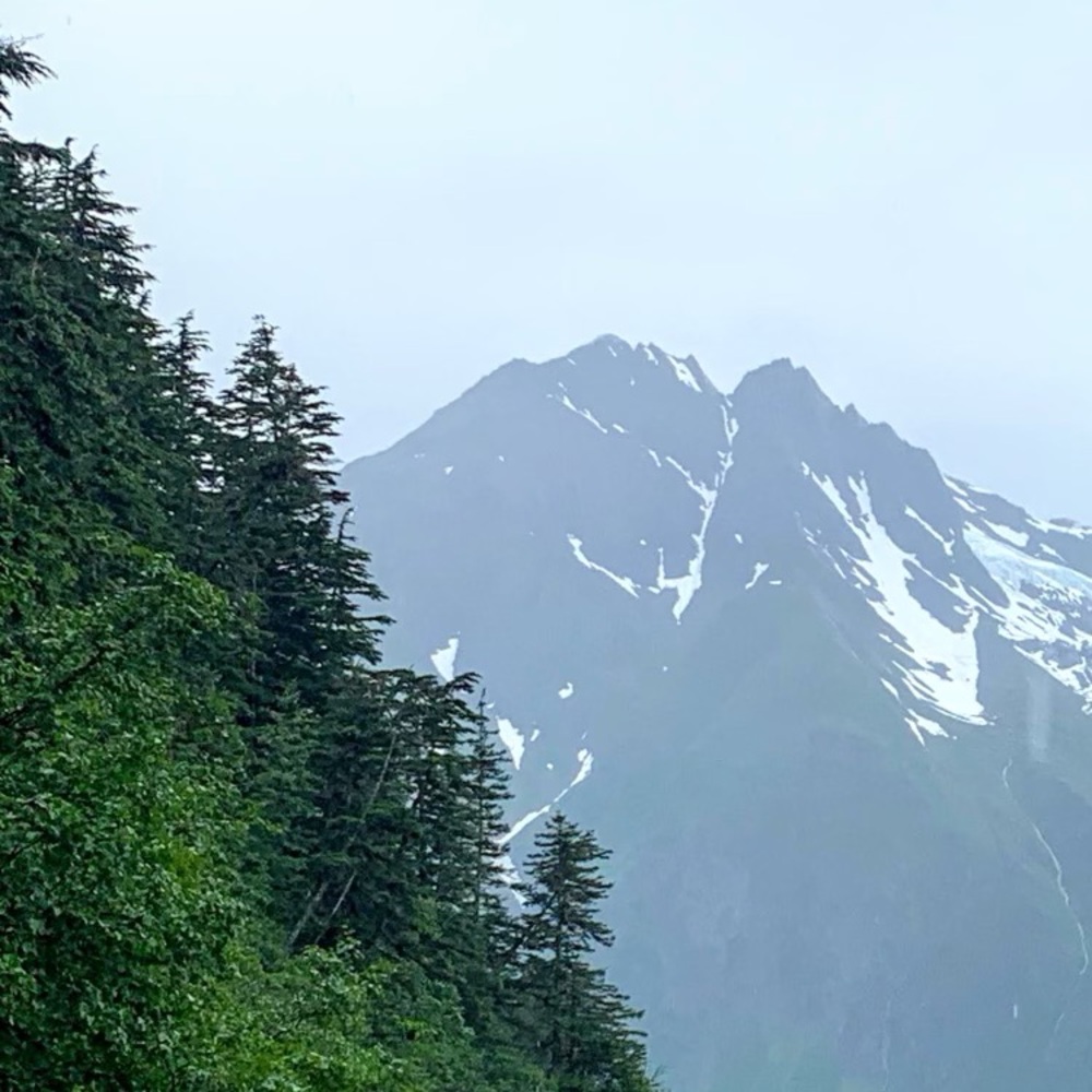 Meet your Posher, L.